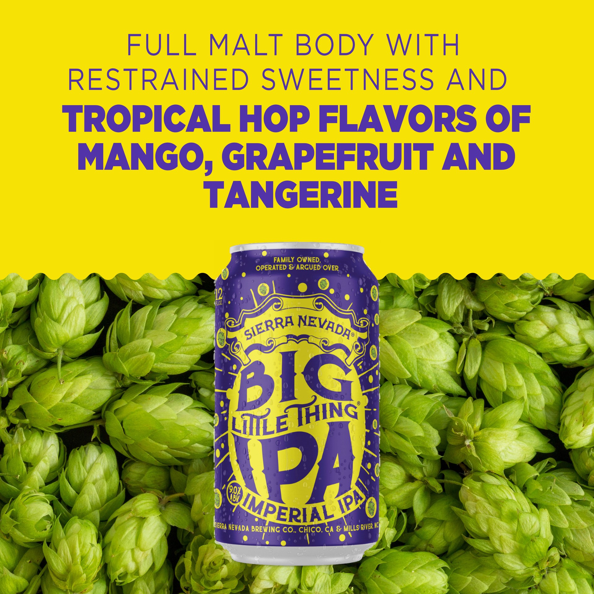 slide 5 of 10, Sierra Nevada Big Little Thing Hazy Imperial IPA Craft Beer 6 Pack (12oz Cans), 6 ct; 12 oz