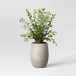 Threshold designed w/Studio McGee 14" Privet Artificial Plant - Threshold™ designed with Studio McGee: Cement Pot, Indoor/Outdoor, Tabletop Decor