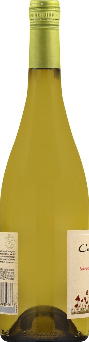 slide 3 of 9, Cono Sur 2019 Valle de San Antonio Chile Sauvignon Blanc 750 ml, 750 ml