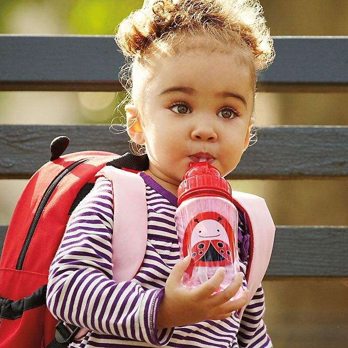 slide 2 of 3, Skip Hop SKIP*HOP Zoo Ladybug Straw Bottle, 12 oz