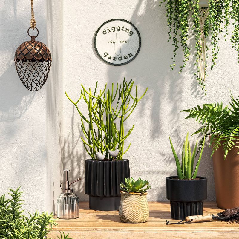 slide 2 of 3, Indoor/Outdoor Glass Plant Mister With Plastic Pump - Threshold™, 1 ct