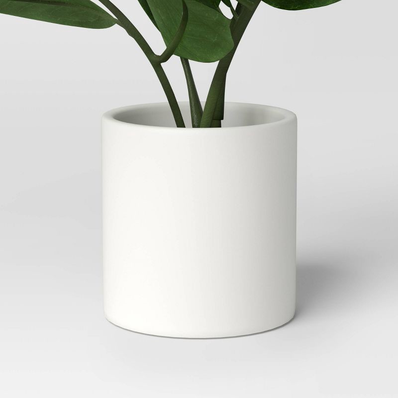 slide 4 of 4, 10.5" Small Tabletop ZZ Artificial Plant - Threshold™: Ceramic Pot, Indoor/Outdoor Decor, 1 ct