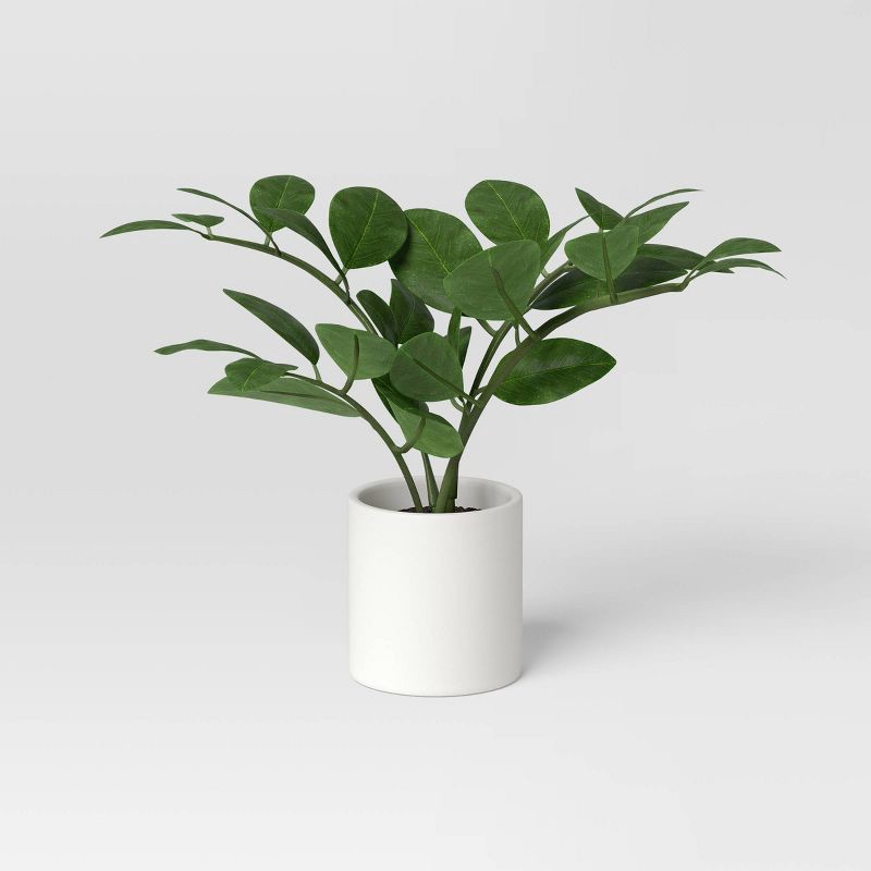 slide 1 of 4, 10.5" Small Tabletop ZZ Artificial Plant - Threshold™: Ceramic Pot, Indoor/Outdoor Decor, 1 ct