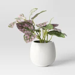 6" Mini Tabletop Polka Dot Artificial Plant - Threshold™