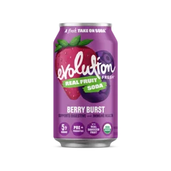 Evolution Fresh Berry Burst Organic Real Fruit Soda - 12 fl oz Can