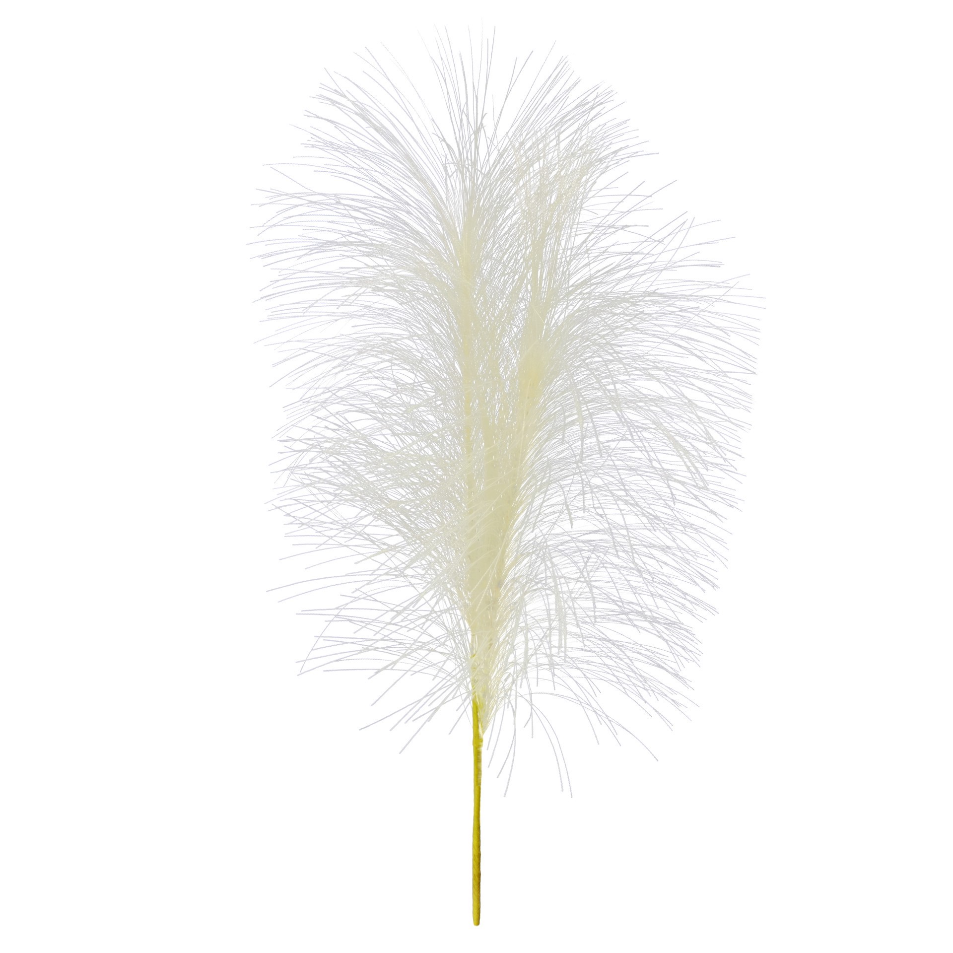 slide 2 of 3, 13.5" Pampas Grass Pick By Ashland, 13.5 in
