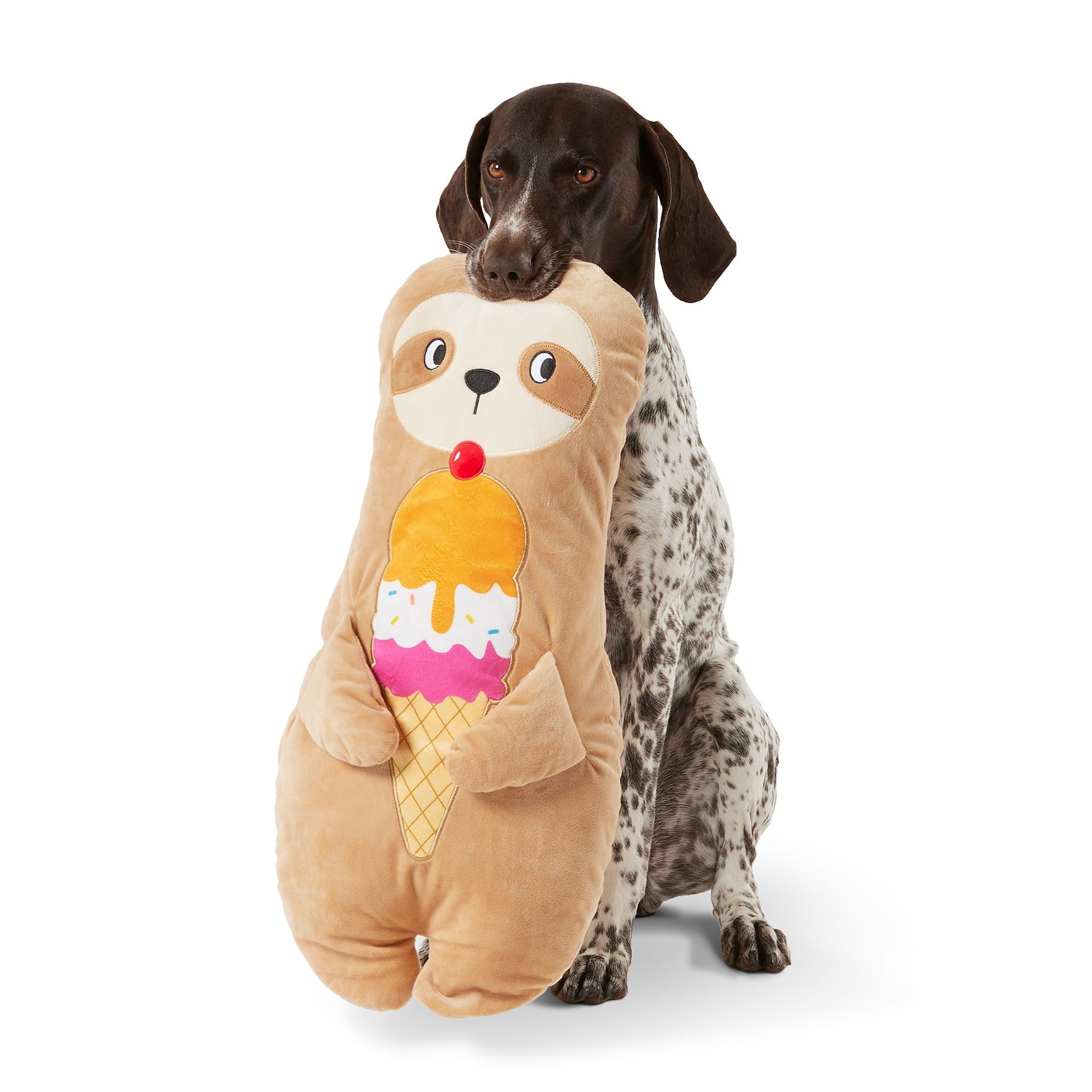 slide 1 of 1, Joyhound Plush Sloth Dog Toy, 1 ct