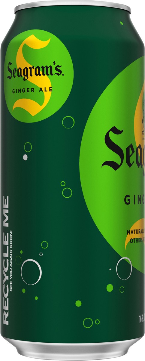 slide 2 of 11, Seagram's Seagrams Ginger Ale Can, 16 fl oz, 16 fl oz