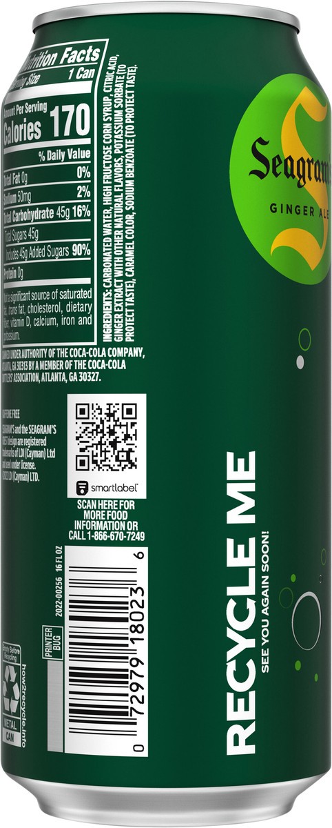 slide 10 of 11, Seagram's Seagrams Ginger Ale Can, 16 fl oz, 16 fl oz