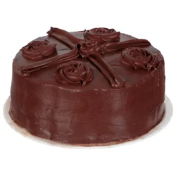 Chocolate Fudge Double Layer Cake