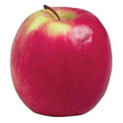 Daisy Girl Organic Lady Pink Apples