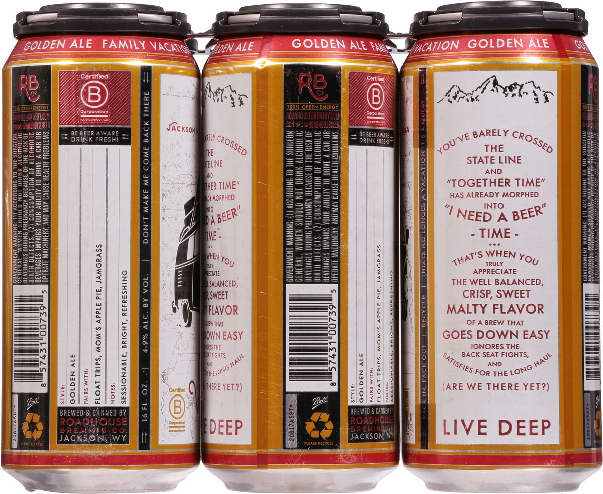 slide 9 of 10, Roadhouse Brewing Co. Golden Ale Family Vacation Beer 6 - 16 fl oz Cans, 6 ct
