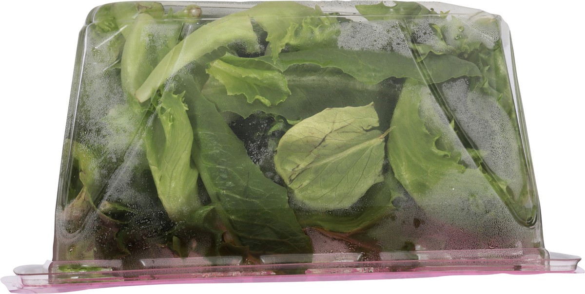 slide 10 of 13, Local Bounti Romaine Crisp 4.5 oz, 4.50 oz