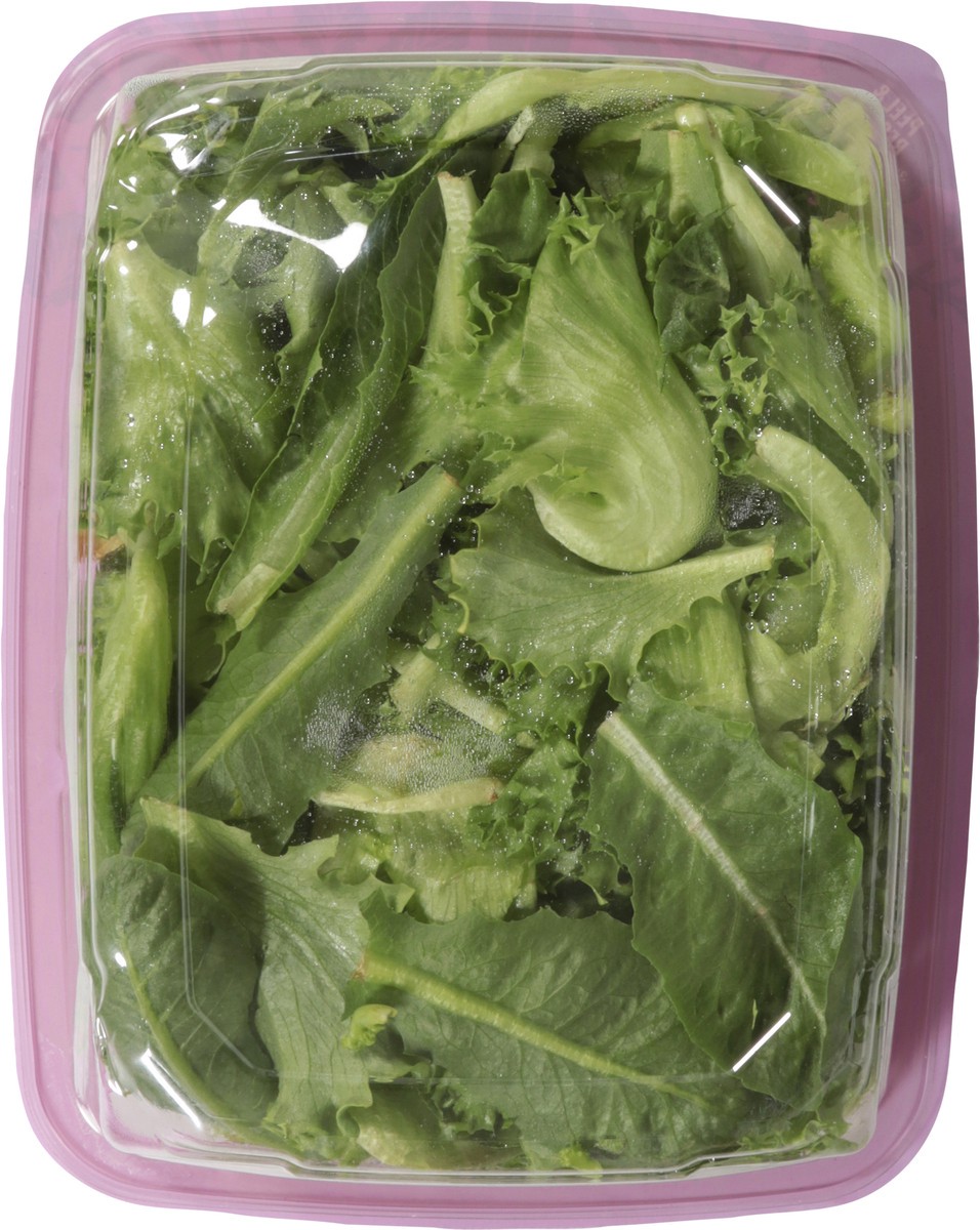 slide 3 of 13, Local Bounti Romaine Crisp 4.5 oz, 4.50 oz