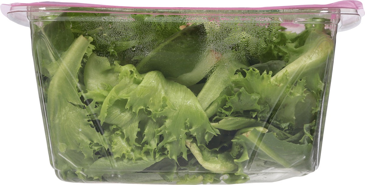 slide 2 of 13, Local Bounti Romaine Crisp 4.5 oz, 4.50 oz