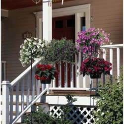 Panacea Shepherd Hook - 64 in