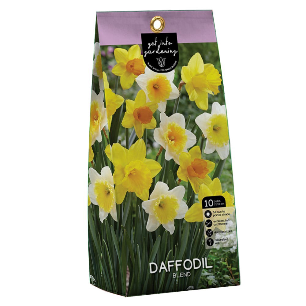 slide 1 of 1, Daffodil Blend Peg Pack, 10 ct