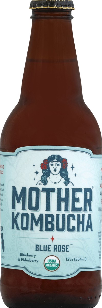 slide 2 of 4, Mother Kombucha Kombucha - 12 oz, 12 oz