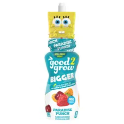 good2grow Paradise Punch Flavored Juice Beverage 10 fl oz