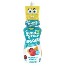 good2grow Paradise Punch Flavored Juice Beverage 10 fl oz