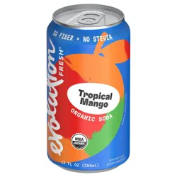 Evolution Fresh Tropical Mango Organic Real Fruit Soda - 12 fl oz Can