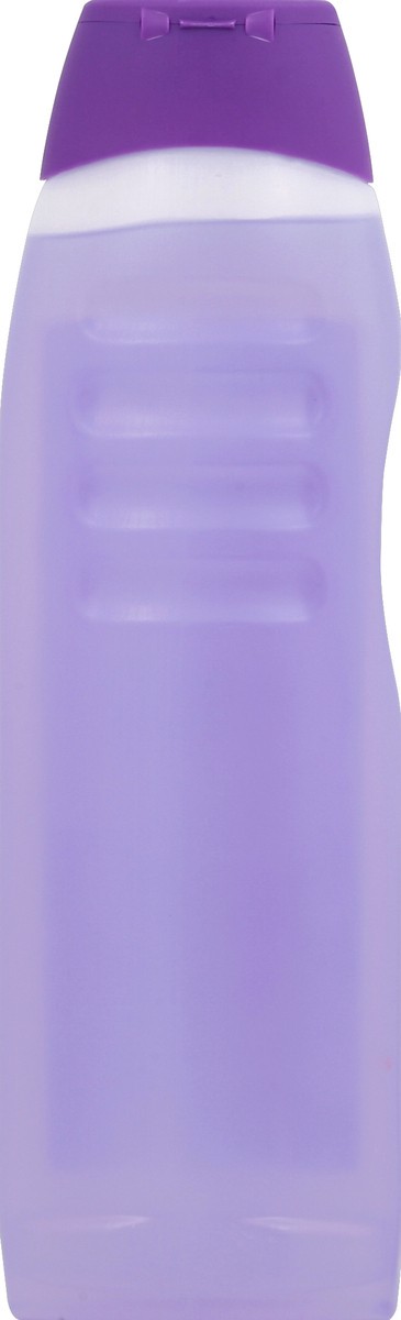 slide 3 of 3, Hola Violets Water 24 oz, 24 oz