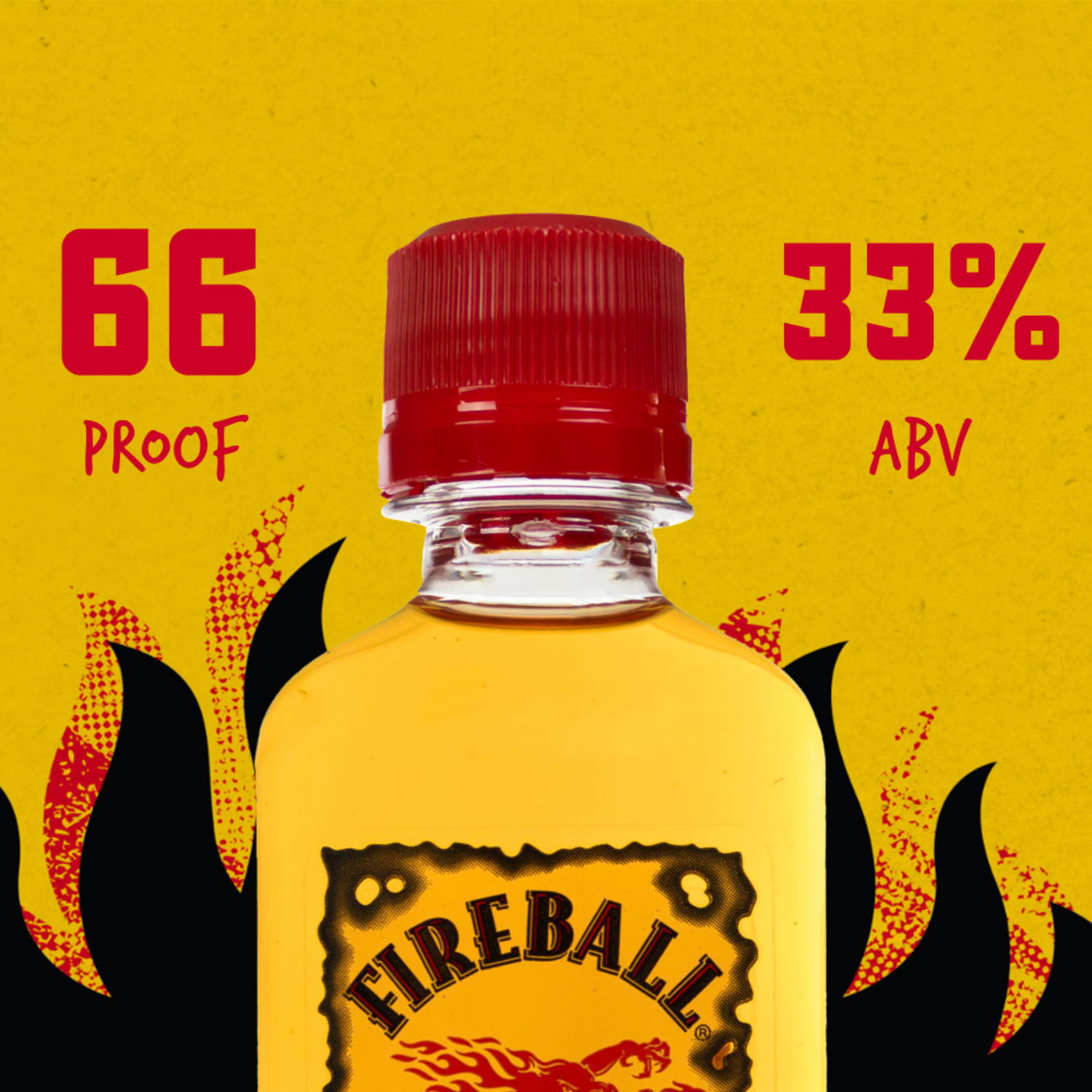 slide 5 of 8, Fireball 10 Pack Cinnamon Whisky 50 ml Bottle 10 ea Shrinkwrapped, 10 ct