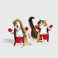Boxing Champ Frontal Halloween Dog and Cat Costume - XS - Boots & Barkley™