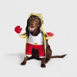 Boxing Champ Frontal Halloween Dog Costume - L - Boots & Barkley™
