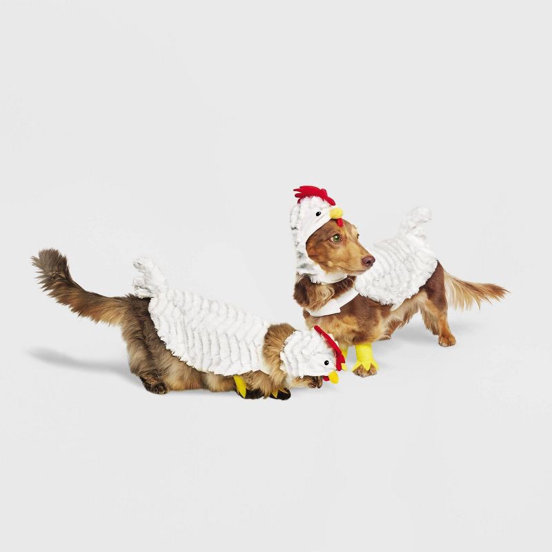 slide 1 of 7, Chicken Full Body Halloween Dog and Cat Costume - XS - Boots & Barkley™, 1 ct