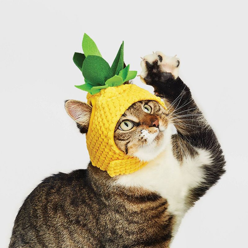 slide 4 of 4, Halloween Pineapple Cat Costume - Hyde & EEK! Boutique, 1 ct