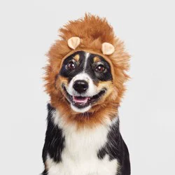 Lion Halloween Dog and Cat Headwear - XXS/XS - Boots & Barkley™