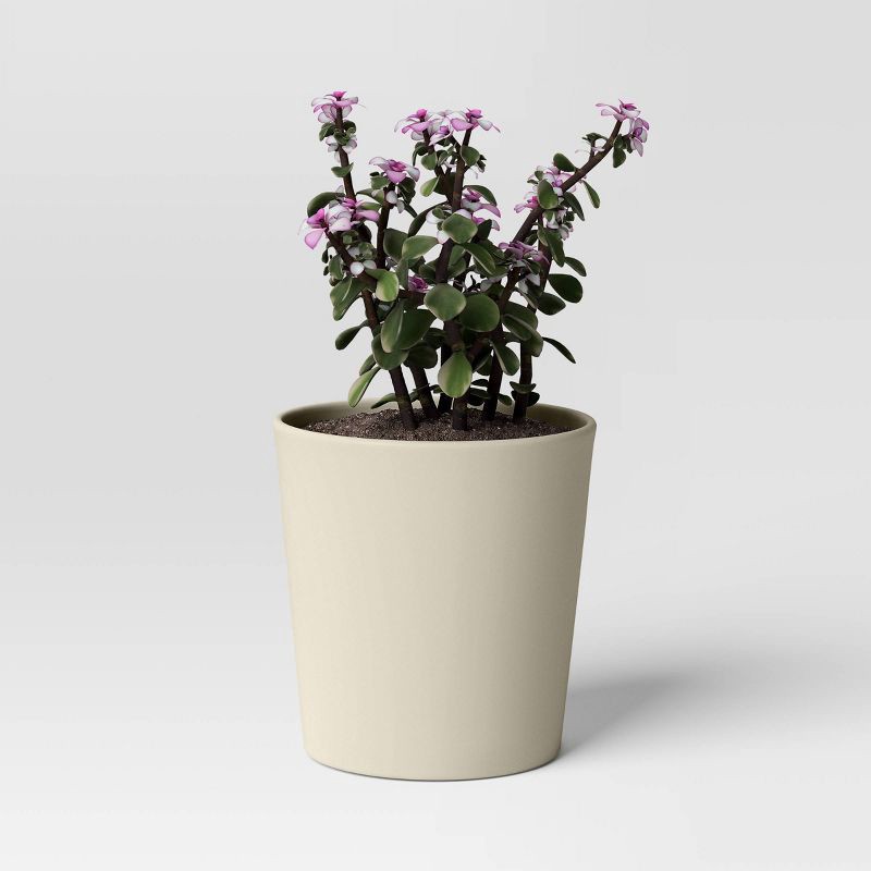 slide 3 of 4, Aesthetic Plastic Indoor Outdoor Planter Pot Sour Cream 8.5"x8.5" - Threshold™, 1 ct