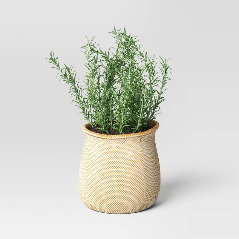 slide 3 of 4, Antique Finish Ceramic Indoor Outdoor Novelty Planter 1 Planter Pot Cream 8"x8" - Threshold™, 1 ct