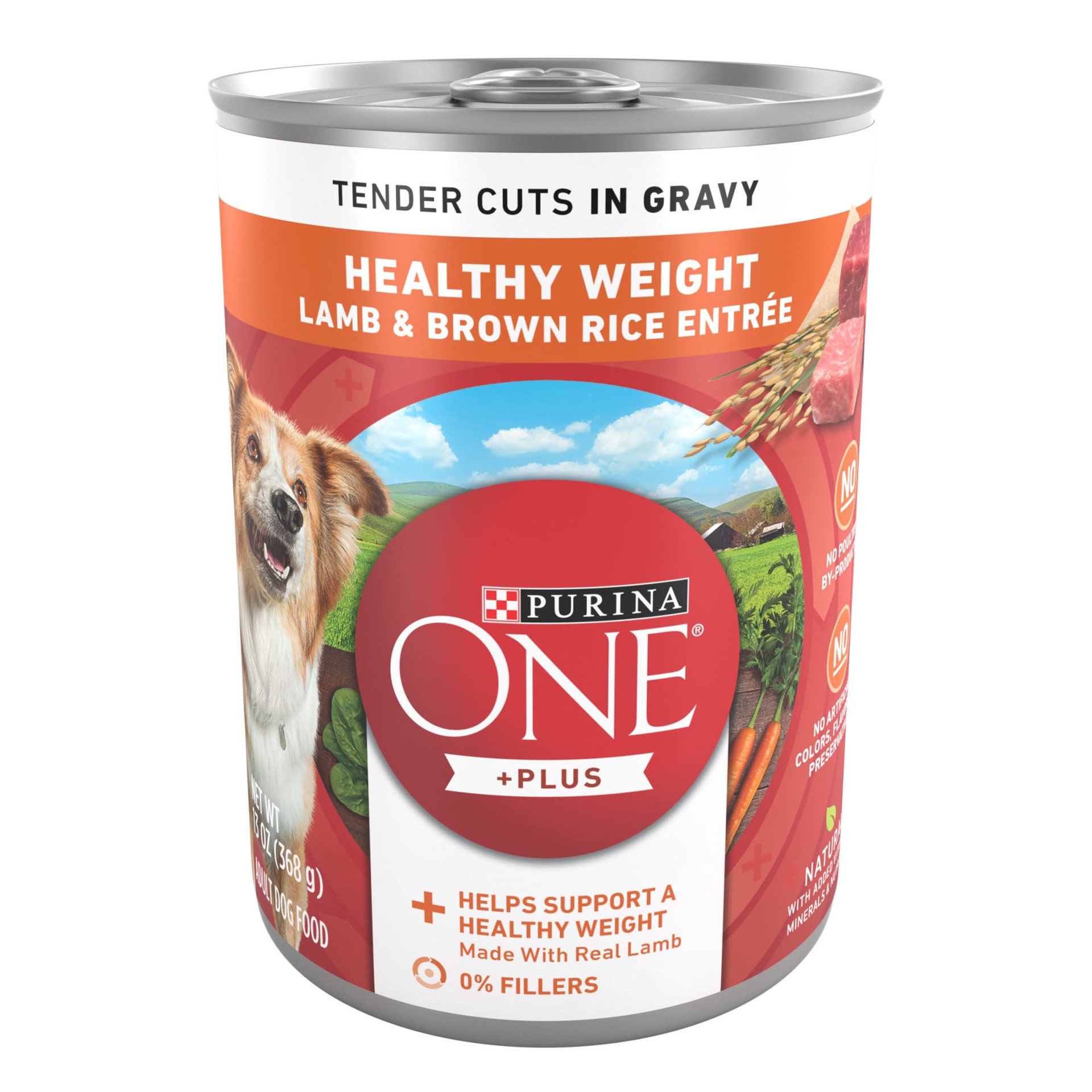 slide 1 of 7, ONE Purina ONE Plus Tender Cuts in Gravy Healthy Weight Lamb and Brown Rice Entree in Wet Dog Food Gravy, 13 oz