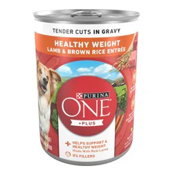 Purina ONE Plus Tender Cuts in Gravy Healthy Weight Lamb and Brown Rice Entree in Wet Dog Food Gravy