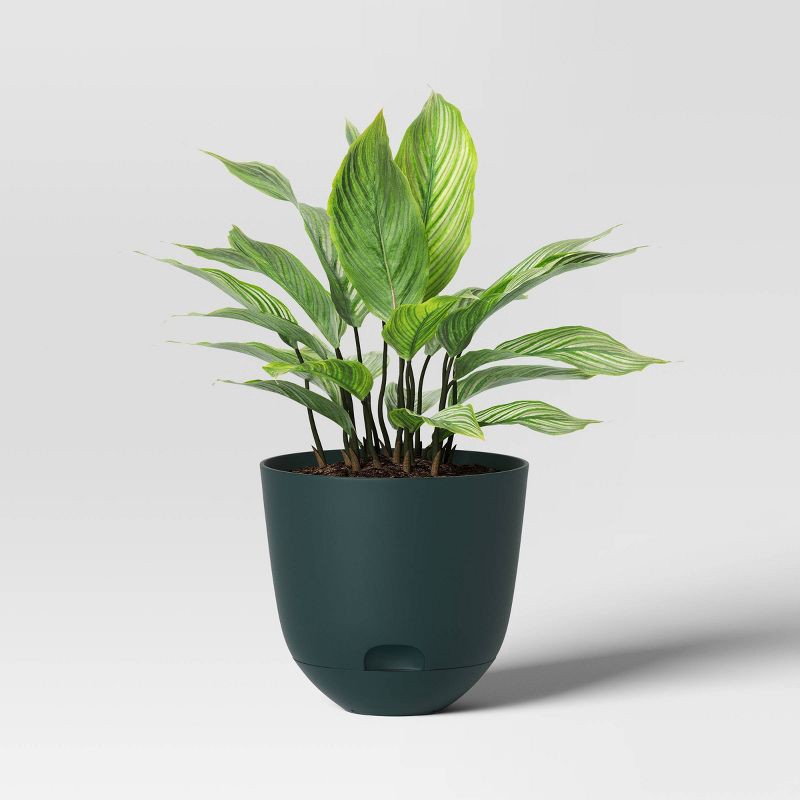 slide 3 of 4, Self-Watering Plastic Indoor Outdoor Planter Pot Fern Shower 8"x8" - Room Essentials™: Durable, Fade-Resistant Patio Accessory, 1 ct