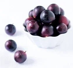 Harper Vineyards Purple Muscadine Gr