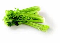 Celery Sticks