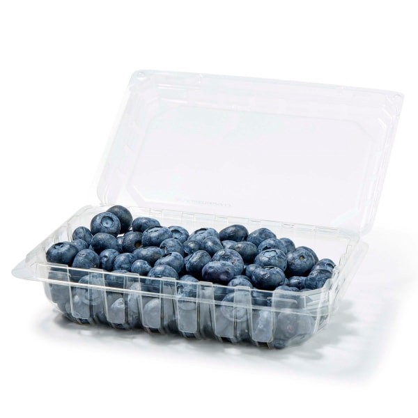 slide 4 of 9, Jumbo Blueberries, 9.8 oz