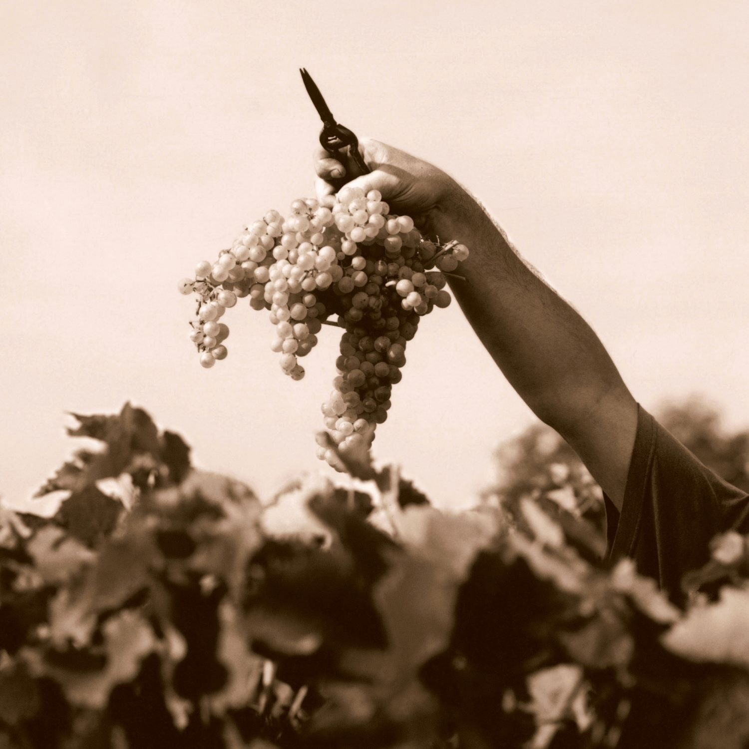 slide 4 of 4, Hennessy Cognac Very Special 375ml, 375 mL