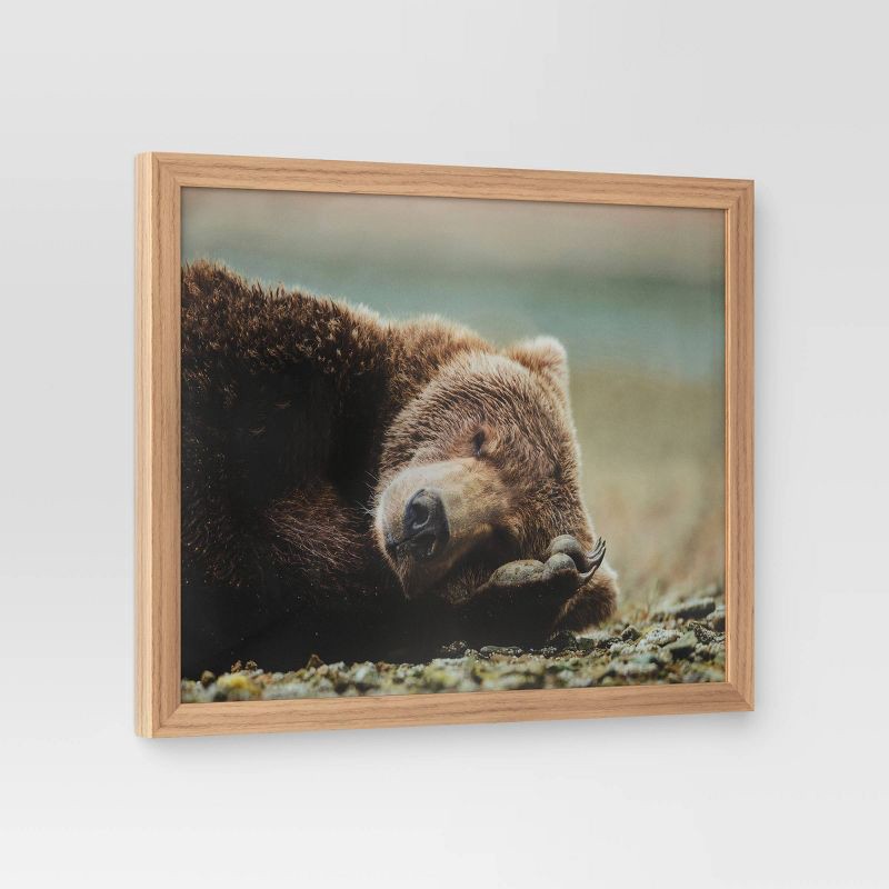 slide 3 of 4, 20" x 16" Bear Photography Framed Art Brown - Threshold™: Frame, Animal Wall, 1 ct