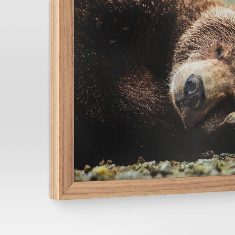 slide 4 of 4, 20" x 16" Bear Photography Framed Art Brown - Threshold™: Frame, Animal Wall, 1 ct