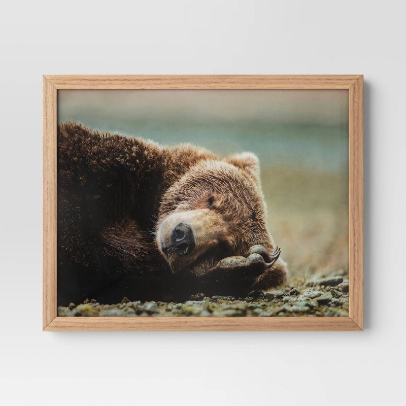 slide 1 of 4, 20" x 16" Bear Photography Framed Art Brown - Threshold™: Frame, Animal Wall, 1 ct