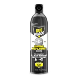 Raid Max Foaming Wasp & Hornet Spray - 16.5oz