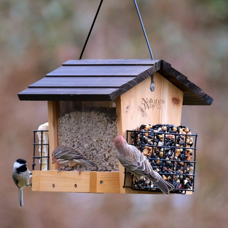 slide 2 of 7, Nature's Way Bird Products 3qt Cedar Hopper Feeder with Suet Cages 8.5": Attracts Cardinals & Woodpeckers, Easy Clean, 3 qt