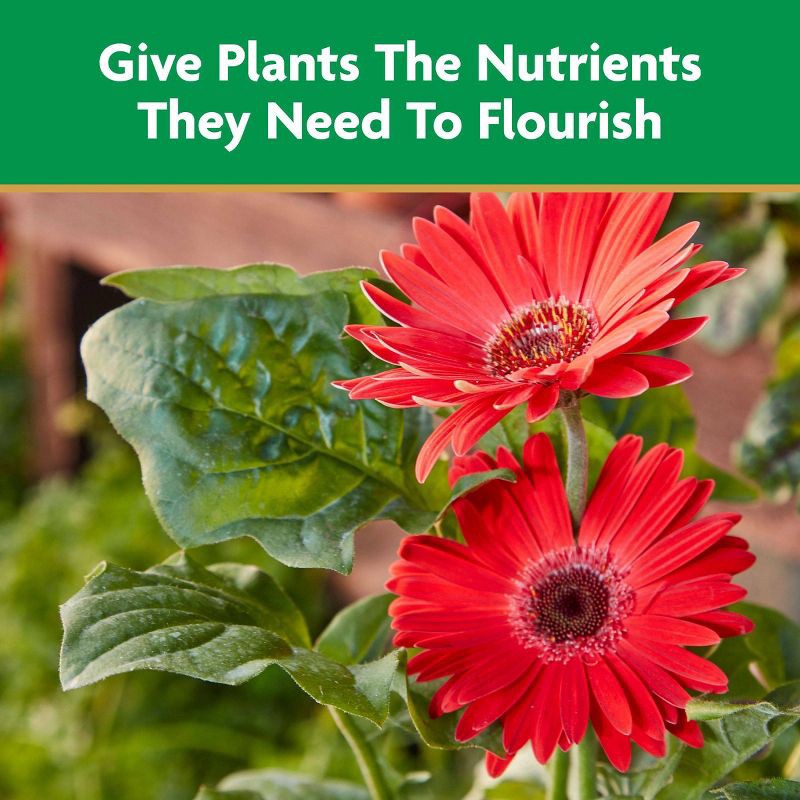 slide 5 of 10, Miracle-Gro 32oz Liquid All Purpose Plant Food Concentrate, 32 oz