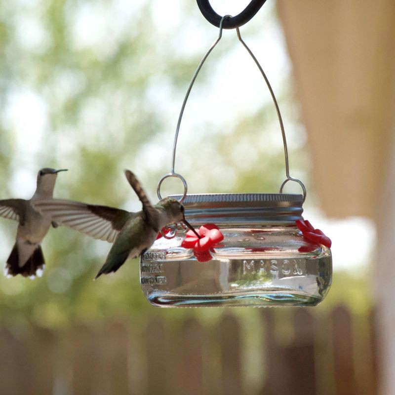slide 2 of 9, Nature's Way Bird Products 6oz Mason Jar Hummingbird Glass Feeder 2.5", 6 oz