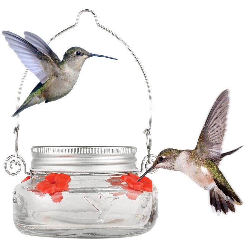 slide 1 of 1, Nature's Way Bird Products 6oz Mason Jar Hummingbird Glass Feeder 2.5", 6 oz