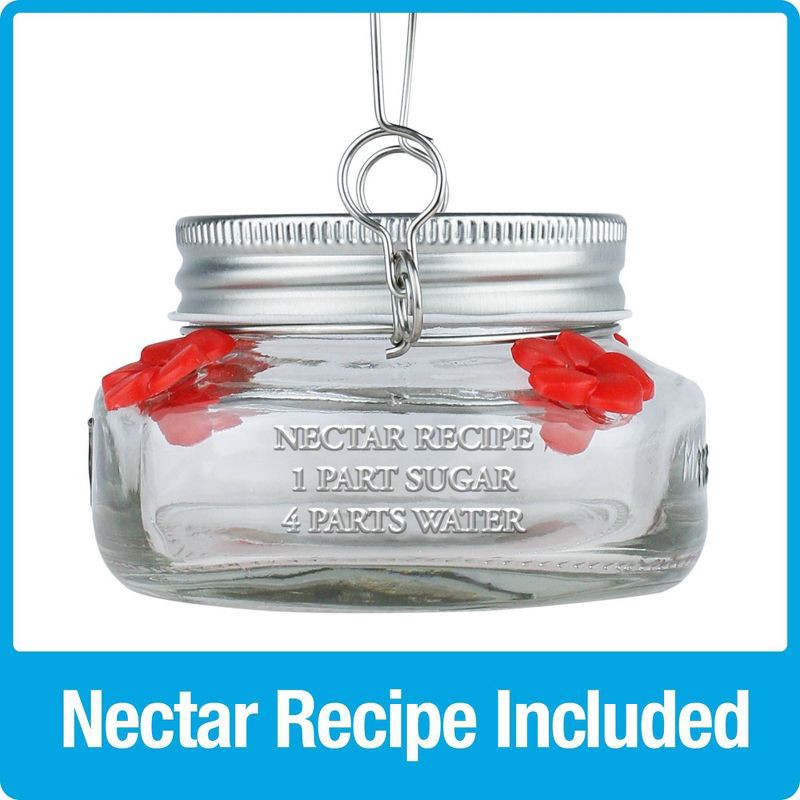 slide 8 of 9, Nature's Way Bird Products 6oz Mason Jar Hummingbird Glass Feeder 2.5", 6 oz